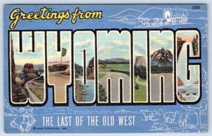 POSTAL DE LINO CARTA GRANDE VINTAGE SALUDOS DE WYOMING AÑOS 40 - Imagen 1 de 2