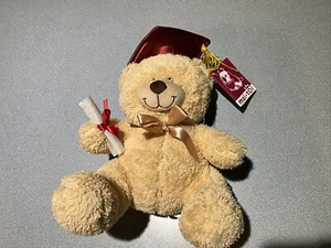 MAI TOI PLUSH STUFFED ANIMAL TOY GRADUATION BEAR GRADE DIPLOMA 10” New W/tags - Picture 1 of 7