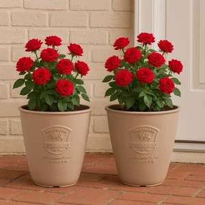 Loire Petit Olive Planter Tall 19.5cm Light Brown Indoor Outdoor Pot - Pack of 2 - Picture 1 of 27