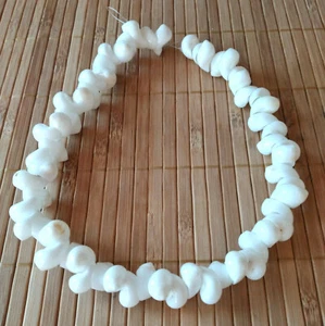 Weiße Muschel Schnecken Perlen Strang 20 mm Naturprodukt Schmuckherstellung - Bild 1 von 4