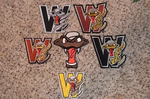 CHOICE of Wisconsin Timber Rattlers Throwback Minor League Baseball Jersey Patch - Picture 1 of 7