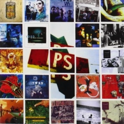 P.S. (Toad retrospective) by Toad The Wet Sprocket [Audio CD] - Image 1 of 2