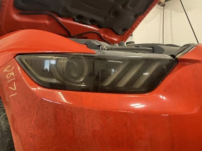 Conjunto de faros derechos usados se adapta a: Ford Mustang 2015 xenón HID derecho grado B Foto 1 de 4