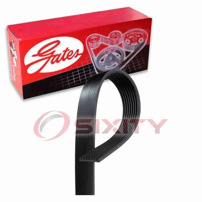 盖茨 Micro-V 蛇形皮带适用于 1999 - 2003 年福特 F-350 Super Duty 7.3L V8 tq — 第 1/4 张图片