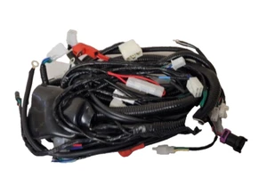 ARNÉS DE TELAR DE CABLEADO WIR41 PARA QUAD BASHAN BS250AU-41 250CC I-GO X - Imagen 1 de 1