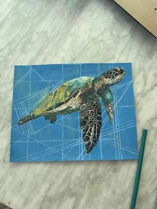 Sea Turtle original art pencil drawing 8” x 12” framed - Picture 1 of 2