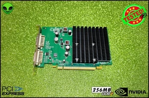 NVIDIA GEFORCE 9300 GE ATX 256 MB DDR2 SCHEDA VIDEO PCI EXPRESS DUAL DVI - Foto 1 di 3