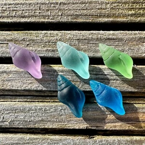 2 Pieces Cultured Sea Glass Conch Shell Pendant, 26x12mm - Colour Options - Picture 1 of 8