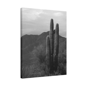 Black & White Saguaro Kaktus vor Hügeln matt Leinwand gespannt gerahmt - Bild 1 von 7