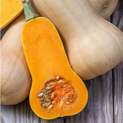 Semillas de calabaza Waltham Butternut, 25+ semillas ~ reliquia ~ SIN TRANSGÉNICOS. Envío y devolución gratuitos Foto 1 de 2