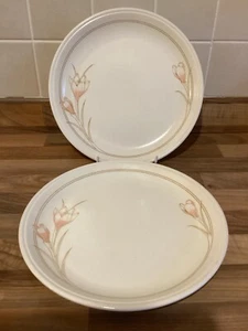 2 x Vintage Biltons Coloroll England Spring Bouquet Crocus Dinner Plates 25cm - Picture 1 of 1