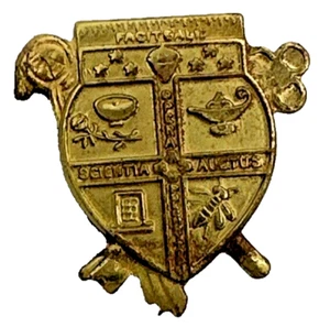 Spilla Fraternità Vintage Faciteal Scientia Auctus Opera Pulchritudo Oro, usata (QQ - Foto 1 di 8