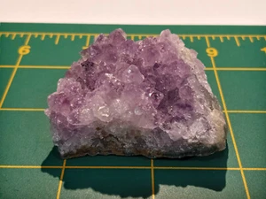 Nice! 2" x 1 3/4" Amethyst Cluster on Geode Matrix - Artigas, Northern Uruguay - Picture 1 of 9
