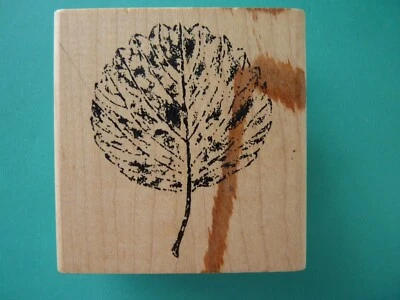 Carimbo de borracha detalhado folha de árvore de Aspen JUDIKINS - Imagem 1 de 2
