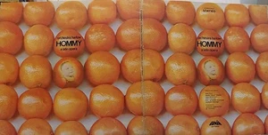 CeliaC+ ORQ Harlow HOMMY A Latin Opera w/HISTORIC Carnegie Program UNPLAYED Read - Picture 1 of 10