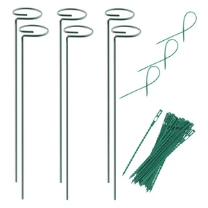 Plant Stake Support - 6 Pack, Garden Single Stem Support Stake Plant Cage Sup... - Picture 1 of 7