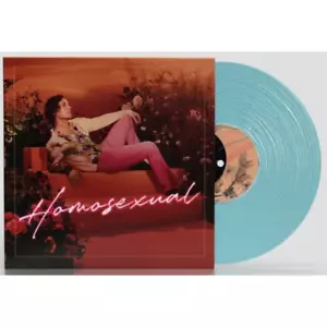 Darren Hayes - Homosexual - LP - Picture 1 of 1