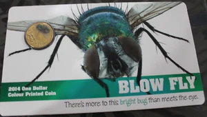 2014 BLOW FLY $1 COLOUR PRINTED COIN $1 UNC RAM COIN CARD - FREE AU POST - Picture 1 of 2