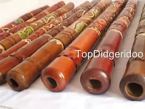 47 Zoll IGUAN GOANA EIDECHSE HANDGESCHNITZTER PUNKT BEMALT Aborigines Didgeridoo - Bild 1 von 12