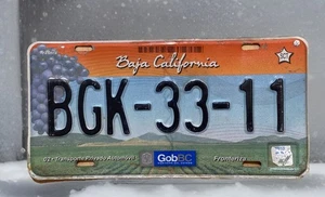 Placa Baja California Norte MÉXICO Placa Naranja Ensenada Tijuana BGK3311 - Imagen 1 de 6