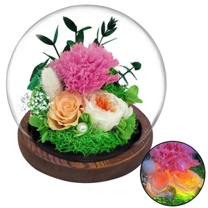 Mothers Day Flowers Gifts for Mom,Preserved Rose Carnation Flowers Gifts for ... - Picture 1 of 6