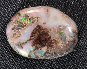 3.2 ct Opalized Conk Wood Cabochon Virgin Valley Nevada - precious fossil opal - Picture 1 of 9