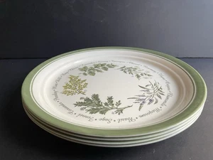 Juego de 4 platos de cena de manzanilla Corelle Thymeless Herbs Collection usados en excelente estado - Imagen 1 de 4