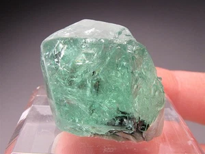 Tsavorite Var. Granate Grossularite, Merelani Hills, Tanzania - Imagen 1 de 8