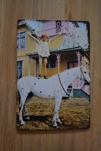 PIPPI LANGSTRUMPF Blechschild - Marvel - Retro - Vintage - Filmplakat - Deko - Bild 1 von 1