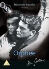 Orphee DVD (2008) Jean Marais, Cocteau (DIR) cert PG FREE Shipping, Save £s