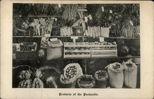 Texline,TX Products of the Panhandle 1907 Dallam County Texas Postcard - Picture 1 of 2