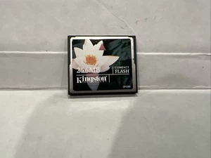 KINGSTON 256 MB COMPACTFLASH CARD - Picture 1 of 2