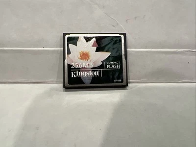 KINGSTON 256 MB COMPACTFLASH CARD - Image 1 of 2