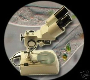 MICROSCOPE/MICROSCOOP STEREO BINOCULAR LABOR MK3 - Picture 1 of 2