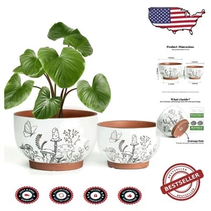 Charming 8" & 6" Terracotta Flower Pots with Drainage & Mushroom Accents - Picture 1 of 8