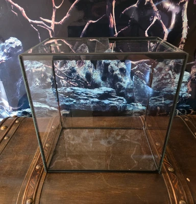 Aquarium 30x20x30cm inkl. Glas Abdeckscheiben - 18 Liter rechteck Terrarium - Bild 1 von 4