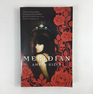Meridian by Amber Kizer 2010 Paperback Supernatural Fiction - Picture 1 of 8