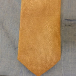 Vestido Traje Corbata Hombres Sólido Desnudo Beige Tejido Brillo Boda Prendas para el Cuello DAIMARU JAPÓN - Imagen 1 de 8