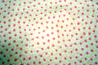 FLORES BLANCAS CENTRADAS EN ROJO SOBRE AMARILLO DE FREE SPIRIT - TELA 100% ALGODÓN Foto 1 de 3