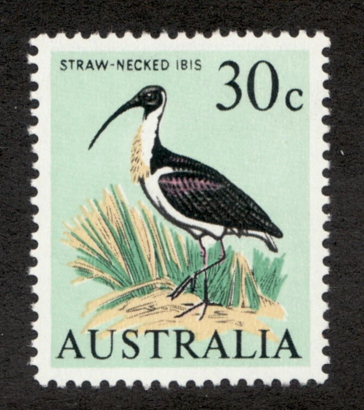 1966 Austrália Sc# 411 - 30¢, pássaro Ibis com pescoço de palha. Selo postal MH CV$16 - Imagem 1 de 1