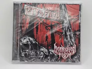 RARE CD REFLECTION OF FLESH, CITY OF FILTH, MILWAUKEE WI, METAL, METALCORE DEATH - Foto 1 di 4