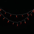 20 LED Red Chili Pepper String Lights for New Year Party - Battery Operated
