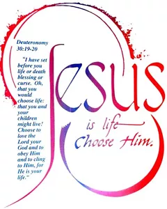 Jesus Is Life - Choose Him. Christian Shirt, Deut. 30:19-20, Christianity - Picture 1 of 1
