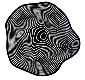 Rug Carpet Black & White Boho Hand Tufted Area Rug Bedroom Floor Mat Wool Carpet - Picture 1 of 12