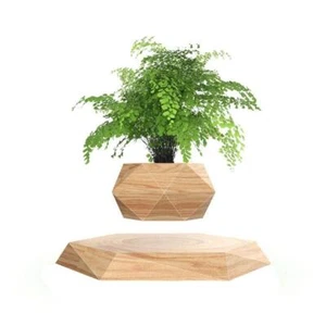 Levitating Plant Pot Hexagon Floating Air Bonsai Pot Suspension Flower Pot Pl... - Picture 1 of 6