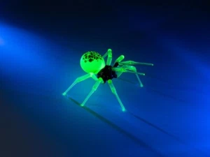 Leuchtende Uranglas Spinne - schwarz und neongrüne Figur - Handarbeit Lampwork - Bild 1 von 5
