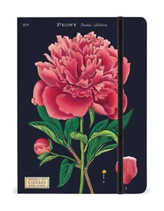 Cavallini - Cuaderno forrado grande 6x8 pulgadas - Botánica/Peonía - 144 páginas con gabinete - Imagen 1 de 1