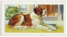 PRIORY TEA TRADE CARD I-SPY PETS 1957 NUMBER 1 ST. BERNARD