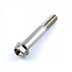 Stainless Steel Flanged Hex Head Bolt M10 X 1.5Mm X 60Mm
