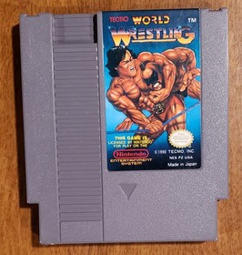 Tecmo World Wrestling nes
